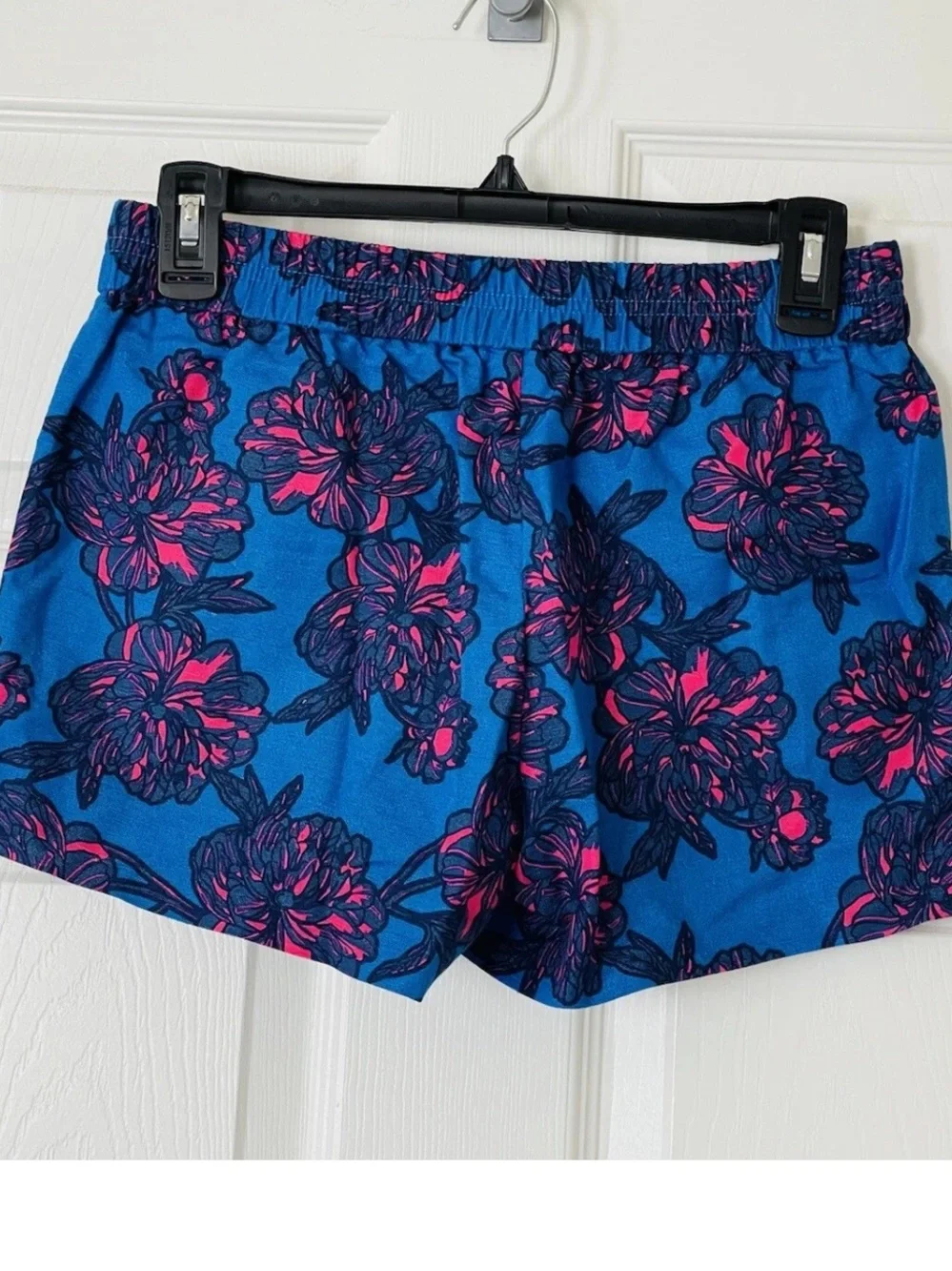 J Crew Women’s Elastic-Waist Linen Blend Shorts in Blue & Pink Size 10 NWOT